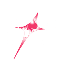the logo for nokky nekotokoo